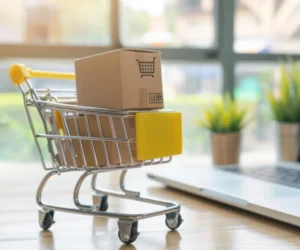 Cómo Optimizar la Experiencia de Usuario en tu Tienda Online en Paraguay