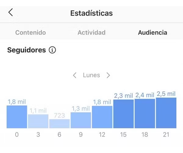 Analiza tu audiencia